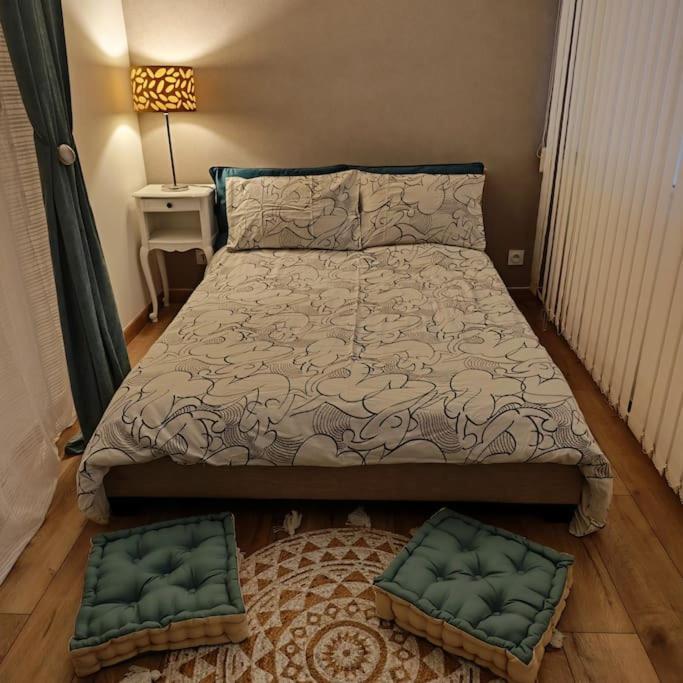 Superbe Cosy Duplex Appartement T3 Charpenne Tete D'Or Avec Parking Prive Gratuit Villeurbanne Bagian luar foto