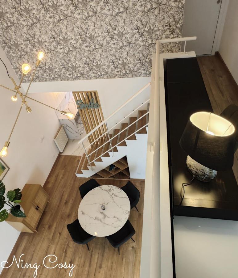 Superbe Cosy Duplex Appartement T3 Charpenne Tete D'Or Avec Parking Prive Gratuit Villeurbanne Bagian luar foto