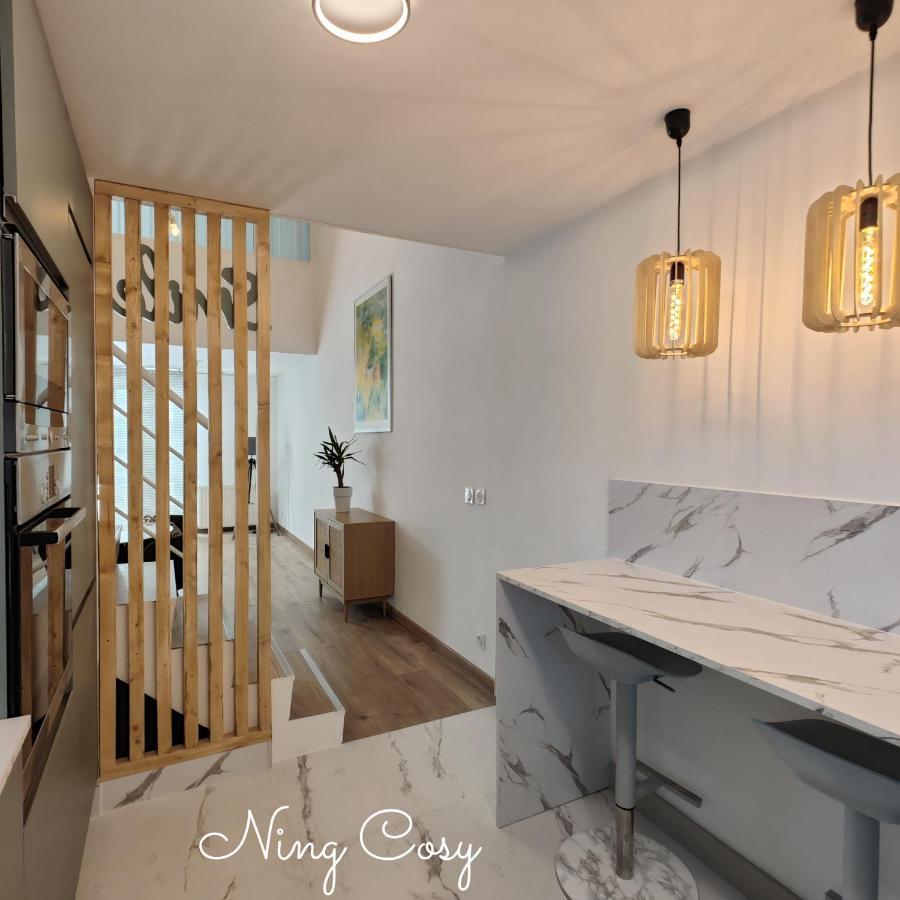 Superbe Cosy Duplex Appartement T3 Charpenne Tete D'Or Avec Parking Prive Gratuit Villeurbanne Bagian luar foto